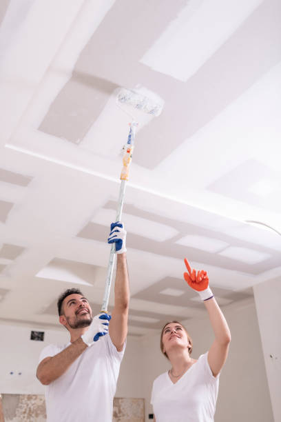 Best Comprehensive Air Testing for Mold Contaminants  in Emerson, NJ