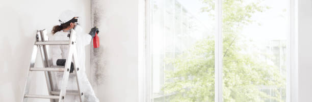 Best Mold Prevention Services  in Emerson, NJ